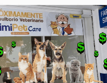 Con el lanzamiento de SimiPet Care, la empresa podría marcar un nuevo hito, sumándose al mercado veterinario con la misma filosofía de accesibilidad que la caracteriza. 
 SIMIPETCARE