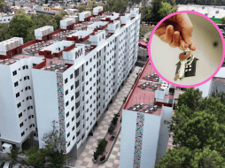 Obtén tu propio hogar por 2 mil pesos al mes por medio de INVI. ESPECIAL / X / @INVICDMX