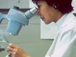 La urgencia de acelerar los procesos regulatorios, para que la innovación beneficie a más personas en menos tiempo, fue uno de los temas centrales del foro.UNSPLASH / National Cancer Institute