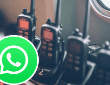 Sigue estos sencillos pasos para que puedas disfrutar de la nueva función de WhatsApp. ESPECIAL