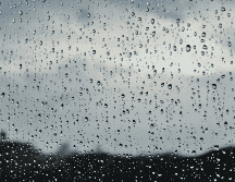 Para la ZMG se registran vientos a 40 kilómetros por hora, con presencia de humedad, lo que provoca bruma que se visualiza. Unsplash.