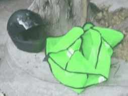 Los elementos del video que coinciden con los objetos encontrados posteriormente en la escena del crimen. ESPECIAL