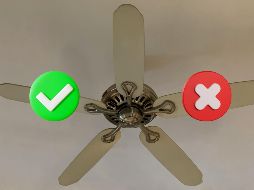 Este tipo de ventilador es una excelente opción dependiendo tus necesidades. UNSPLASH / Kalyanaraman S