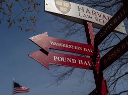Harvard presentó una nueva demanda en contra el Gobierno de Estados Unidos. EFE/ARCHIVO