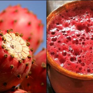 ¿Qué es el colonche y para qué sirve?