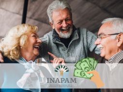 El Programa de Vinculación Productiva del INAPAM representa una oportunidad para que los adultos mayores continúen activos laboralmente, mejoren su calidad de vida y accedan a beneficios laborales como el reparto de utilidades. INAPAM