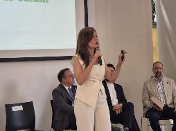 Entre los estímulos, está el 100 por ciento de descuento en el impuesto a derechos municipales en el porcentaje de vivienda económica que incluyan en sus proyectos. EL INFORMADOR / M. HERNÁNDEZ