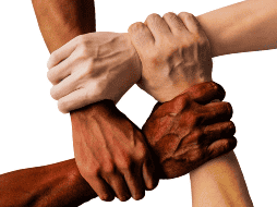 Las venas visibles en las manos, en la mayoría de los casos, no son motivo de alarma y se deben a factores como el calor, la edad, el ejercicio o la genética.  CANVA