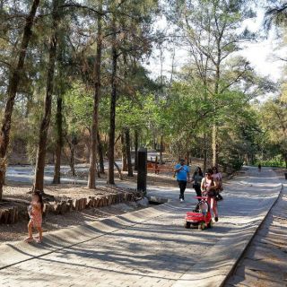 Habrá actividades en bosques de ZMG durante el verano