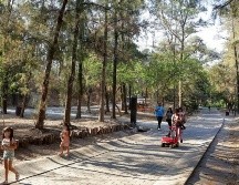 Invitan a la ciudadanía también a que acuda a los bosques urbanos de la metrópoli para pasar tiempo familiar, pero piden que no tiren basura en los parques. EL INFORMADOR / ARCHIVO