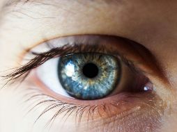 Descubre los mejores aceites para estimular el crecimiento de las pestañas. UNSPLASH / K. JERIELLE