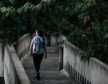 Los resultados de la investigación 