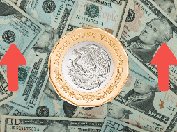 Hoy  la mejor opción en la compra —en este momento de la mañana, a las 07:30 horas— es en Banamex y la venta, en BBVA. ESPECIAL / Canva