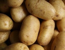 ¿Cuáles son los beneficios de la papa? UNSPLASH / L. BLANKERS