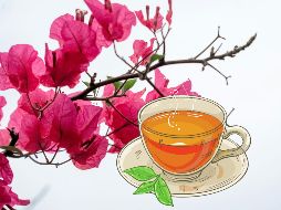 De acuerdo con Natural World, la bugambilia tiene 3 propiedades para calmar malestares respiratorios. UNSPLASH / A. Subba