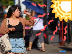 Frente al incremento térmico, las autoridades sanitarias recomiendan adoptar medidas preventivas. EL INFORMADOR / ARCHIVO