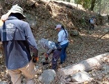 Como parte de los trabajos, el viernes 30 se repartieron cédulas de búsqueda de personas desaparecidas en la delegación Las Palmas. ESPECIAL