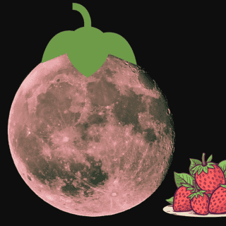Luna de Fresa: ¿Por qué se llama así este fenómeno astronómico?