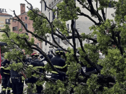 El árbol, un roble, cayó sobre un grupo de personas que aguardaban en un área con sombra en Piazzale Roma. AP
