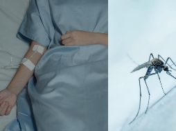 Los síntomas del dengue, conocido comúnmente como 