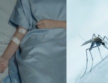 Los síntomas del dengue, conocido comúnmente como 