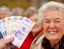 Una vez obtenida, la credencial puede utilizarse en diferentes rubros como alimentación, salud, asesoría legal, transporte, farmacias, artículos del hogar, restaurantes, cultura, ropa y servicios públicos (como el agua o el predial). INAPAM