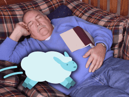 Tomar una siesta después de las 3 de la tarde puede interferir con el sueño nocturno. ESPECIAL / CANVA