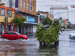 Antes de salir a manejar por las calles, es fundamental realizar una revisión básica de tu auto. EL INFORMADOR / ARCHIVO