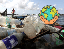 Por esta razón se celebra el Día Mundial del Medio Ambiente el 5 de junio. EFE / ARCHIVO