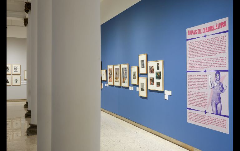 La muestra reúne alrededor de cien piezas, entre fotografías provenientes de la Colección y Archivo Fundación Televisa, dos pinturas de Sergio Arau de la Colección MUSA y documentos clave en la memoria visual y cultural del país. EL INFORMADOR / H. Figueroa