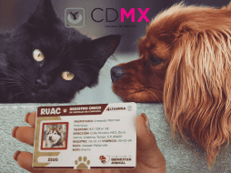 Dependiendo de la gravedad de la situación o en caso de reincidentes, las represalias podrían ser mayores. Pixabay/ESPECIAL