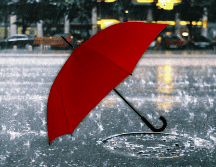 Las lluvias puntuales fuertes a intensas podrían generar incremento en los niveles de ríos y arroyos, deslaves, inundaciones y encharcamientos. ESPECIAL / CANVA
