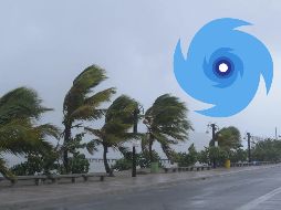 Podría intensificarse a huracán categoría 1 en la escala Saffir-Simpson, durante la tarde-noche de este domingo 8 de junio o en las primeras horas del lunes 9. EFE / ARCHIVO