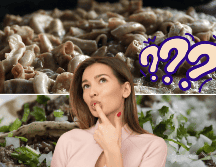 Los tacos de tripa y tuétano son famosos en México por su exquisito sabor. EL INFORMADOR/ ARCHIVO/ UNSPLASH/ Icons8 Team