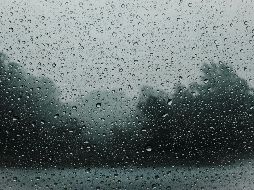 La tormenta provocó caída de varios árboles, inundaciones en Plaza del Sol, vehículos arrastrados, semáforos sin funcionar y anuncios espectaculares a punto de caer. Unsplash.