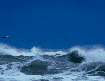 La tormenta tropical “Dalila” ocasionará lluvias muy fuertes en Jalisco, Colima y Nayarit. UNSPLASH / B. Bailey
