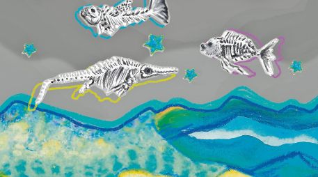 En las zonas montañosas es posible encontrar fósiles que dan cuenta de que algún día nuestro territorio estuvo bajo el océano. CORTESÍA/sopita.de.dinosaurios