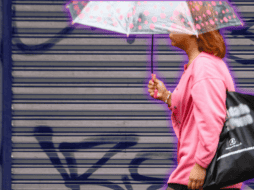 Ante los riesgos que se pueden presentar durante la temporada de lluvias, se recomienda tomar precauciones. EL INFORMADOR/ARCHIVO