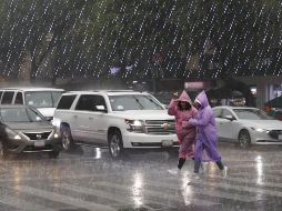 Este es el pronóstico de lluvias para hoy 15 de junio de 2025. SUN / ARCHIVO