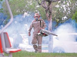 Se tienen que evitar los potenciales criaderos del mosquito. ESPECIAL