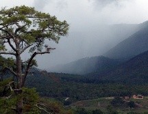 En México, el verano es la estación del año en la que se registran la mayor cantidad de lluvias, pero vale la pena mencionar que es cuando se puede presentar el fenómeno conocido como 