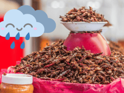 En  la cocina de lluvia se ha preservando el saber ancestral sobre la recolección y preparación de estos alimentos tan peculiares. PEXELS / N. JI