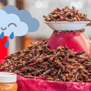 ¿Qué es la cocina de lluvia y cómo implementarla esta temporada?