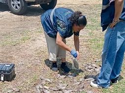 Autoridades descartan causas tóxicas en la muerte de los peces. ESPECIAL