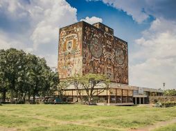 Recuerda seguir al pie de la letra todas y cada una de las indicaciones oficiales. Sin importar el resultado, lo importante es seguir adelante. PEXLES/ ESPECIAL