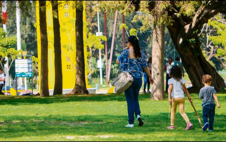 La ciudad ofrece distintos espacios para disfrutar las tardes a la sombra de los árboles. EL INFORMADOR