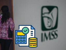 Este trámite, cabe resaltar, sólo aplica para la inscripción a la continuación voluntaria en el régimen obligatorio. EL INFORMADOR / ARCHIVO