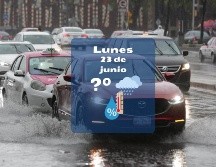 Recomiendan a la ciudadanía mantenerse atenta a los avisos y tomar precauciones ante la posibilidad de encharcamientos, reducción de visibilidad y caída de ramas o árboles debido al viento y las precipitaciones intensas. SUN / F. Rodríguez