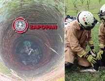 Bomberos de Zapopan rescataron a un perro que había caído en un pozo en un predio. ESPECIAL / X: @UMPCyBZ