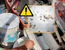 Los casos de dengue aumentan durante la temporada de lluevias, segun información del Centro Nacional de Prevención de Desastres. EL INFORMADOR / AP / ARCHIVO